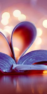 Love,Heart,Bokeh,Boquet,Page,Bookmark,Book,Pages