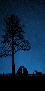 Love,Pair,Tree,Starry Sky,Wood,Dog,Couple,Kiss,Silhouettes