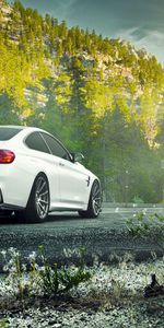 M4,Cars,Rear View,Back View,Vorsteiner,V Ff,F82,Bmw