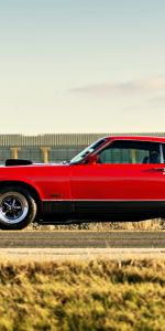 Mach 1,Cars,Muscle Car,Ford Mustang