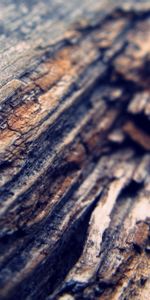 Macro,Bark,Blur,Smooth,Background,Dark