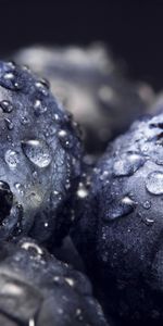 Macro,Bilberries,Drops,Close Up