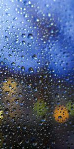 Macro,Bokeh,Boquet,Translucent,Drops,Glass,Wet,Surface,Rain