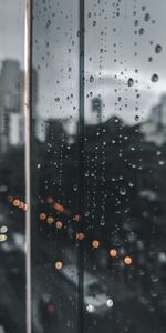 Macro,Boquet,Bokeh,Drops,Glare,Glass,Wet