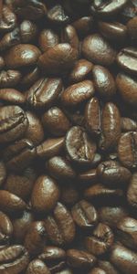 Macro,Brown,Coffee Beans,Coffee