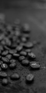 Café,Macro,Bw,Chb