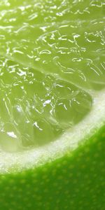 Lime,Juteux,Macro,Agrumes,Agrume