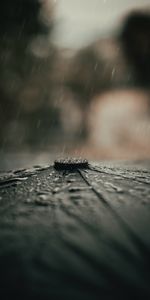 Drops,Macro,Paraguas,Lluvia