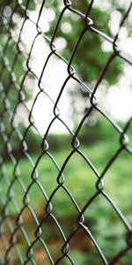 Macro,Fence,Focus,Trellis,Lattice,Grid