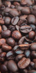 Macro,Fried,Roasted,Coffee Beans,Coffee