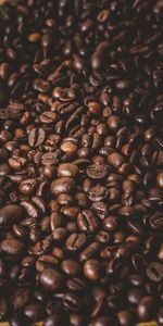 Macro,Grain,Brown,Grains,Coffee Beans,Coffee