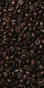 Café,Macro,Oscuro,Marrón,Granos,Granos De Café,Grano