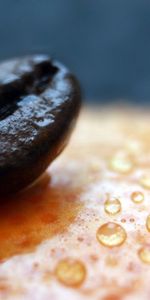 Macro,Grain,Drops,Surface,Corn,Coffee