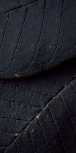 Macro,Leaves,Surface,Texture,Veins