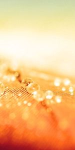 Macro,Light,Surface,Drops,Shine