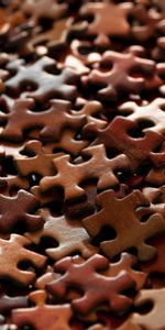 Fragment,Macro,Divers,Marron,Puzzles