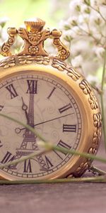 Macro,Miscellanea,Miscellaneous,Small,Pocket,Flowers,Clock