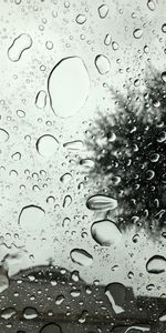 Macro,Moisture,Transparent,Drops,Surface,Glass