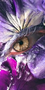 Macro,Petals,Makeup,Eye,Creative