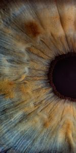 Macro,Pupil,Close Up,Eye