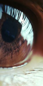 Macro,Pupil,Eye,Eyelash,Eyelashes