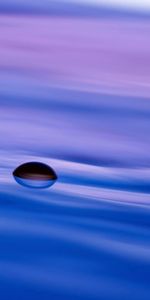 Macro,Ripples,Ripple,Surface,Drop,Liquid