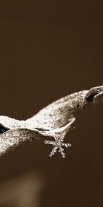 Macro,Sheet,Leaf,Frost,Hoarfrost,Snowflake