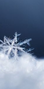 Nieve,Macro,Copo De Nieve,Superficie