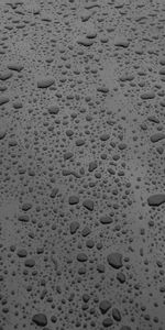 Macro,Surface,Bw,Drops,Chb