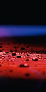 Macro,Surface,Drops