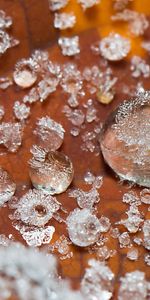 Macro,Surface,Ice,Drops