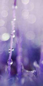 Macro,Surface,Light Coloured,Drops,Glare,Light