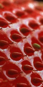 Macro,Surface,Shadow,Berry,Strawberry