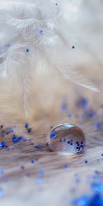 Macro,Tinsel,Decoration,Sequins,Drops,Feather