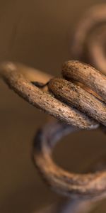 Macro,Twisted,Hook,Metal