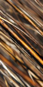 Macro,Wood,Bars,Rods,Brown,Wooden,Grey