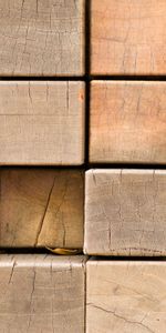 Macro,Wood,Tree,Texture,Textures,Squares