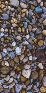 Marine,Nature,Stones,Pebble,Sea,Form,Forms