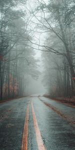 Markup,Asphalt,Fog,Road,Nature,Autumn,Forest