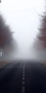 Markup,Fog,Trees,Road,Nature