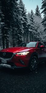 Мазда (Mazda),Тачки (Cars),Красный,Автомобиль,Mazda6