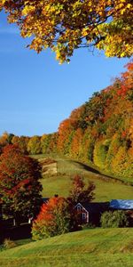 Nature,Arbres,Prairies,Village,Maisons,Automne