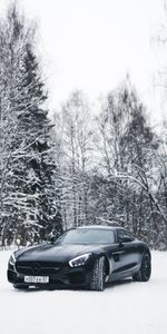 Neige,Forêt,Le Noir,Mercedes Benz,Mercedes,Voitures