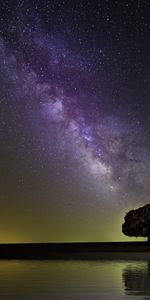 Milky Way,Horizon,Shore,Bank,Tree,Starry Sky,Nature,Wood,Night