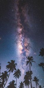 Noche,Maldivas,Palms,Cielo Estrellado,Vía Láctea,Naturaleza,Estrellas