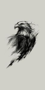 Minimalism,Art,Paint,Eagle