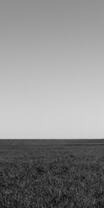 Horizonte,Madera,Árbol,Campo,Bw,Chb,Minimalismo