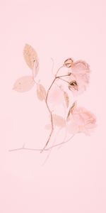 Minimalism,Pink,Rose,Rose Flower,Branch,Flower