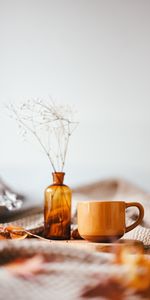 Miscellanea,Bouquet,Mug,Miscellaneous,Cup,Brown,Vase,Branch