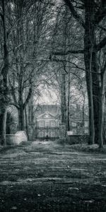 Miscellanea,Branches,Fence,Bw,Mysterious,Gate,Goal,Miscellaneous,Mystical,Chb,Mystic,Rain,House